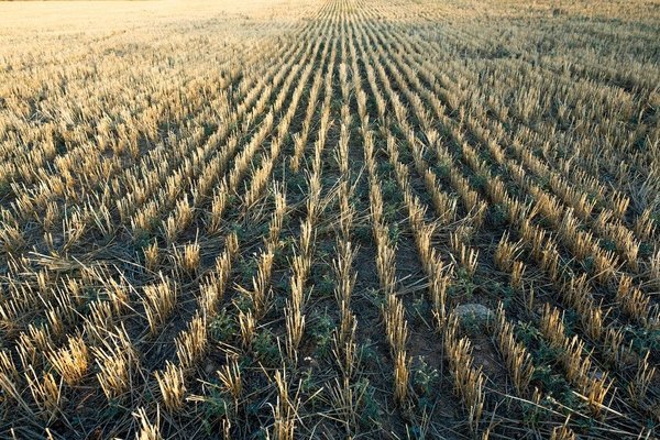 Comment gérer les douleurs articulaires liées à l'âge