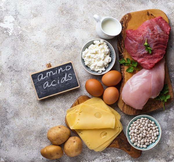 Acides aminés : rôles et bienfaits sur le bien-être et la santé